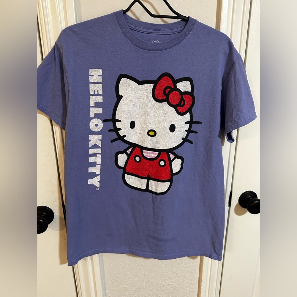 Hello Kitty Sanrio Big Graphic Tee | Purple Kawaii Cute T-Shirt- Y2K Vibes